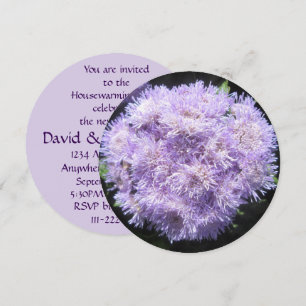 Invitation - Ageratum