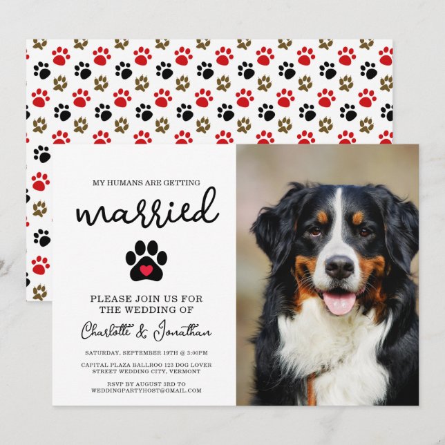 Invitation Amoureux des chiens photo moderne simple Mariage a (Devant / Derrière)
