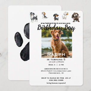 Invitation Amusant Tous Mes Amis Animaux de compagnie Photo A