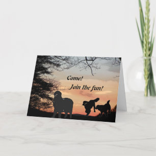 Invitation amusante de chien de Terre-Neuve