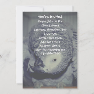 Invitation Amusante fête du perroquet gris africain