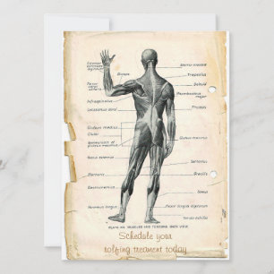 Invitation Anatomie Posterior