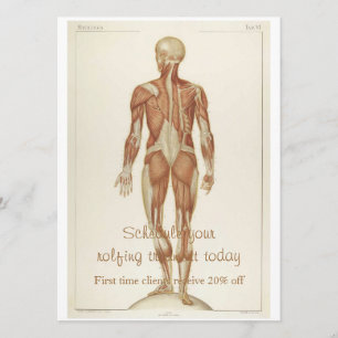 Invitation Anatomie Posterior