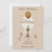 Anniversaire minimaliste du chien