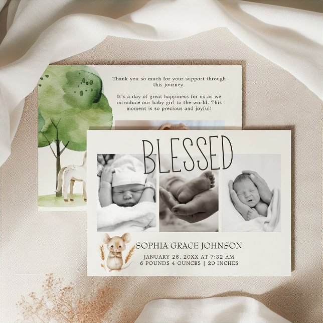 Invitation Annonce de naissance bébé animaux de la petite fer (Créateur téléchargé)