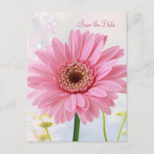 Invitation Annonce de sauvegarde de date - Gerbera rose
