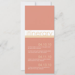 Invitation Annonces d'itinéraire pour deux mariées