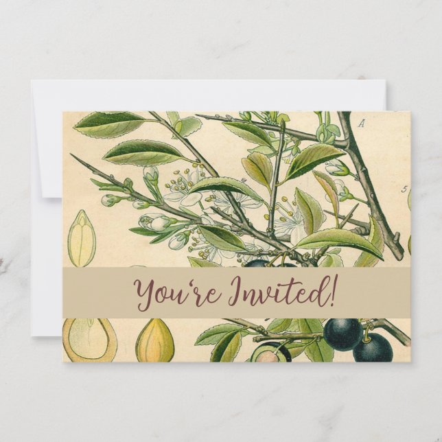 Invitation Antique Blackthorn Botanique Imprimé Fleur Berry (Devant)