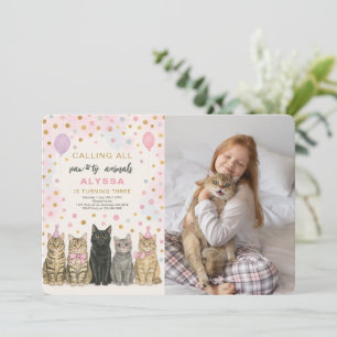 Invitation Appel à tous les animaux de paille Kitten Photo d'