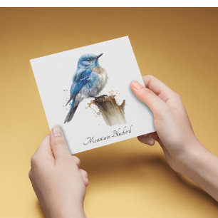 Invitation Aquarelle personnalisée du joli petit merlebleu de