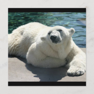 Invitation arctique d'ours blanc