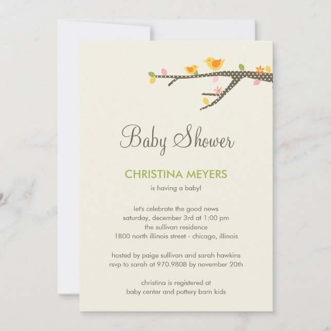 Invitation au Baby shower des oiseaux doués (Devant)