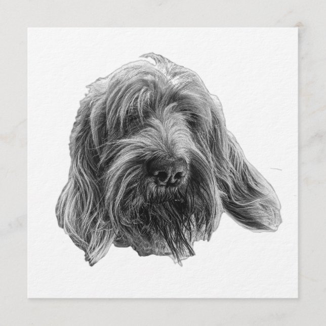 Invitation au souper Spinone (Devant)