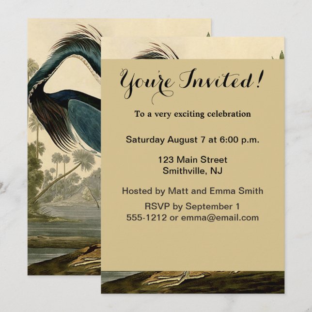 Invitation Audubon Louisiana Heron Birds America Art (Devant / Derrière)