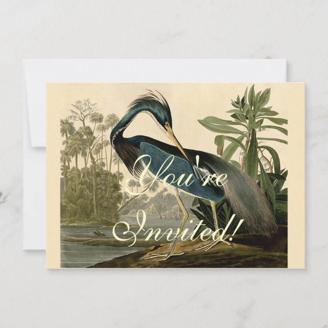 Invitation Audubon Louisiana Heron Birds America Art (Devant)