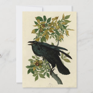 Invitation Audubon Raven Oiseau classique