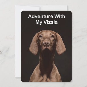 Invitation Aventure avec mon Vizsla
