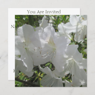 Invitation - Azalées blanches