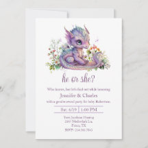 Baby Dragon Sexe Reveal Party
