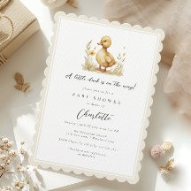 Baby shower de canard neutre selon le sexe