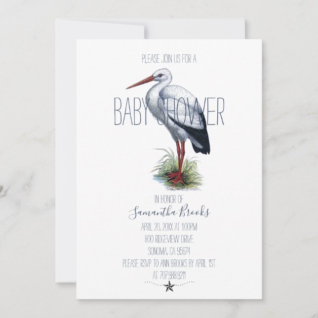 Invitation Baby shower de cigogne (Devant)
