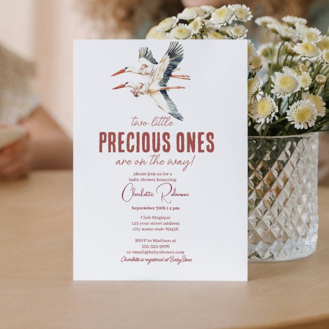 Invitation Baby shower de deux cigognes et jumeaux (Créateur téléchargé)