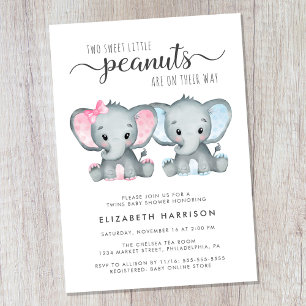 Invitation Baby shower de garçon Elephant Twin Girl
