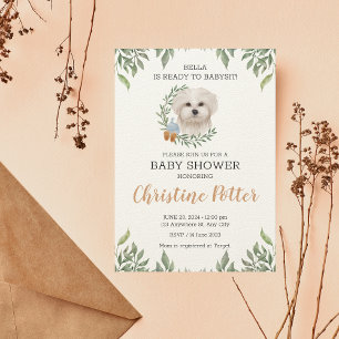 Invitation Baby shower de verdure du chien blanc maltais Boy 