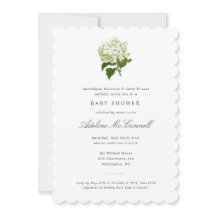 Baby shower du grand millénaire de l'Hydrangea bla