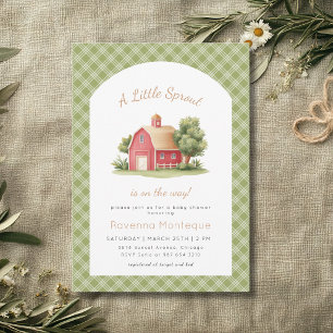 Invitation Baby Shower Gingham Vert Grange Rouge Petite Pouss