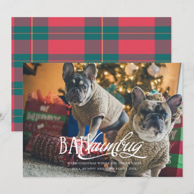 Invitation Bah Humbug Silly Pet Photo Holiday Card (Devant / Derrière)