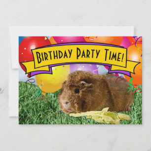 Invitation Ballons de cochons d'Inde pour l'anniversaire des