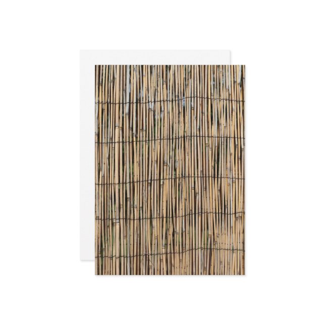 Invitation Bambou (Devant/Arrière en situation)