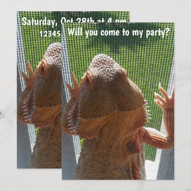 Invitation barbue de fête d'anniversaire de dragon (Devant / Derrière)