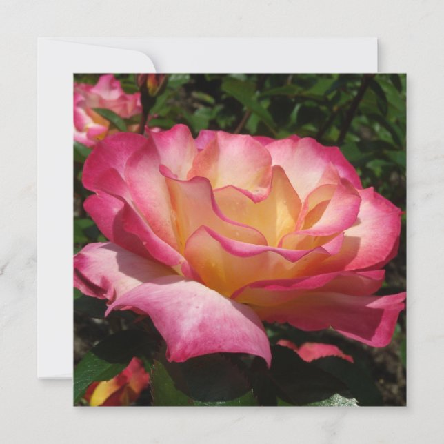 Invitation Beau Rose (Devant)