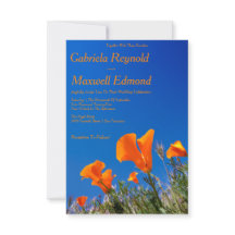 Beauty Nature Floral Californie Mariage de pavot