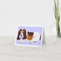 Bébé Basset Hound