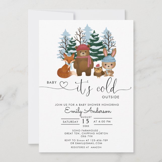 Invitation Bébé Il fait froid à l'extérieur du Baby shower bo (Devant)
