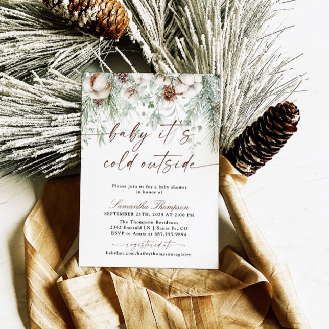 Invitation Bébé Il fait froid à l'extérieur du Baby shower d' (Créateur téléchargé)