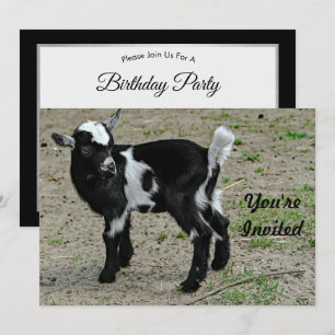 Invitation Bébé noir et blanc mignon photo chèvre Anniversair
