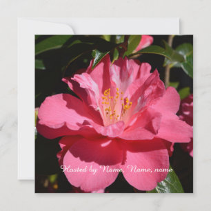 Invitation belle fleur de camélia rose tout fête