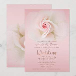 Invitation Belle Rose Rose Pâle Mouillée Élégante Mariage