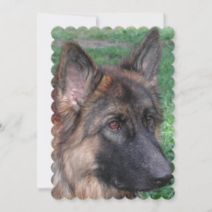 Invitation Berger allemand