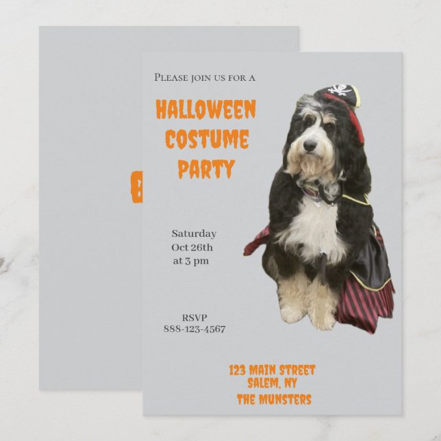 Invitation Bernedoodle Chien dans Pirate Halloween Costume Pa (Devant / Derrière)