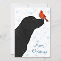 Black Lab Cardinal de Noël - adorable chien du Lab