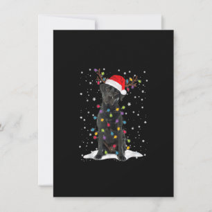 Invitation Black Lab Labrador Christmas Tree Light Pyjama Chi