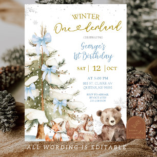 Invitation Bleu de neige hiver Onederland Premier Anniversair