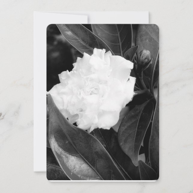 Invitation Bloom monochrome (Devant)