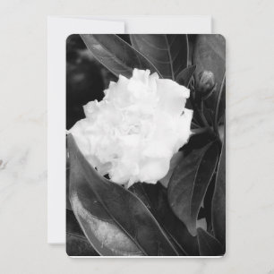 Invitation Bloom monochrome
