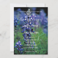 Bluebonnets Texas Flowers Fleur sauvage Mariage